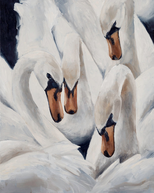 "The Dance of Swans"